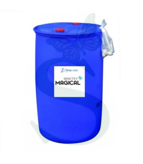 SEACTIV MAGICAL x 200 Lt.