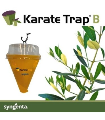 KARATE TRAP B BOX x 25 pz. -olivo-