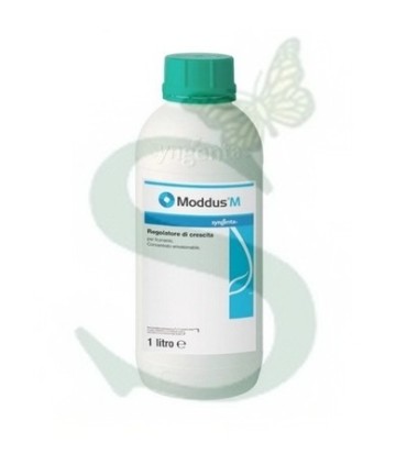 MODDUS x 1 lt.