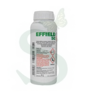 EFFIELD SC x 1 lt.