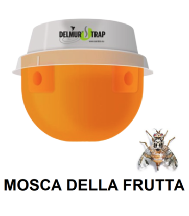 DELMUR TRAP CERATITIS mosca frutta 1 pz