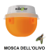 DELMUR TRAP DACUS mosca dell'olivo 1 pz.