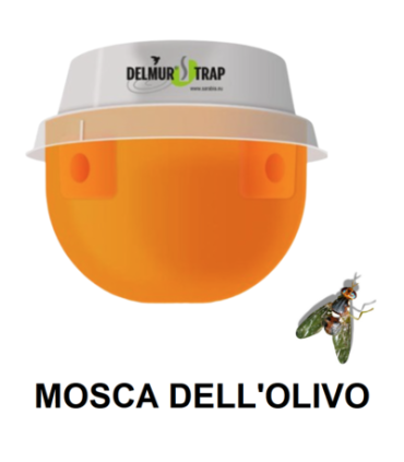 DELMUR TRAP DACUS mosca dell'olivo 1 pz.