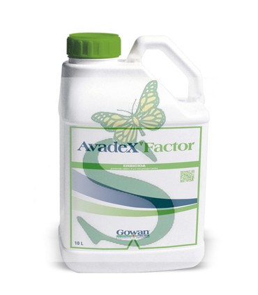 AVADEX FACTOR x 10 lt.