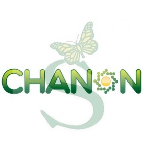 CHANON x 5 lt.