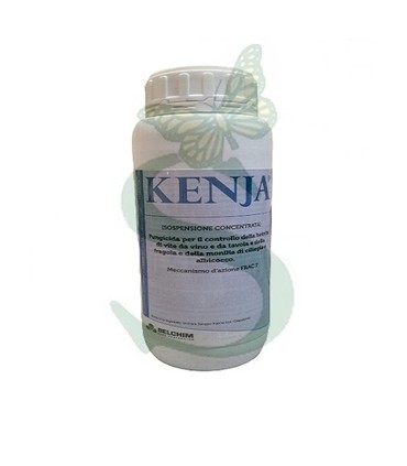 KENJA x 1 lt.